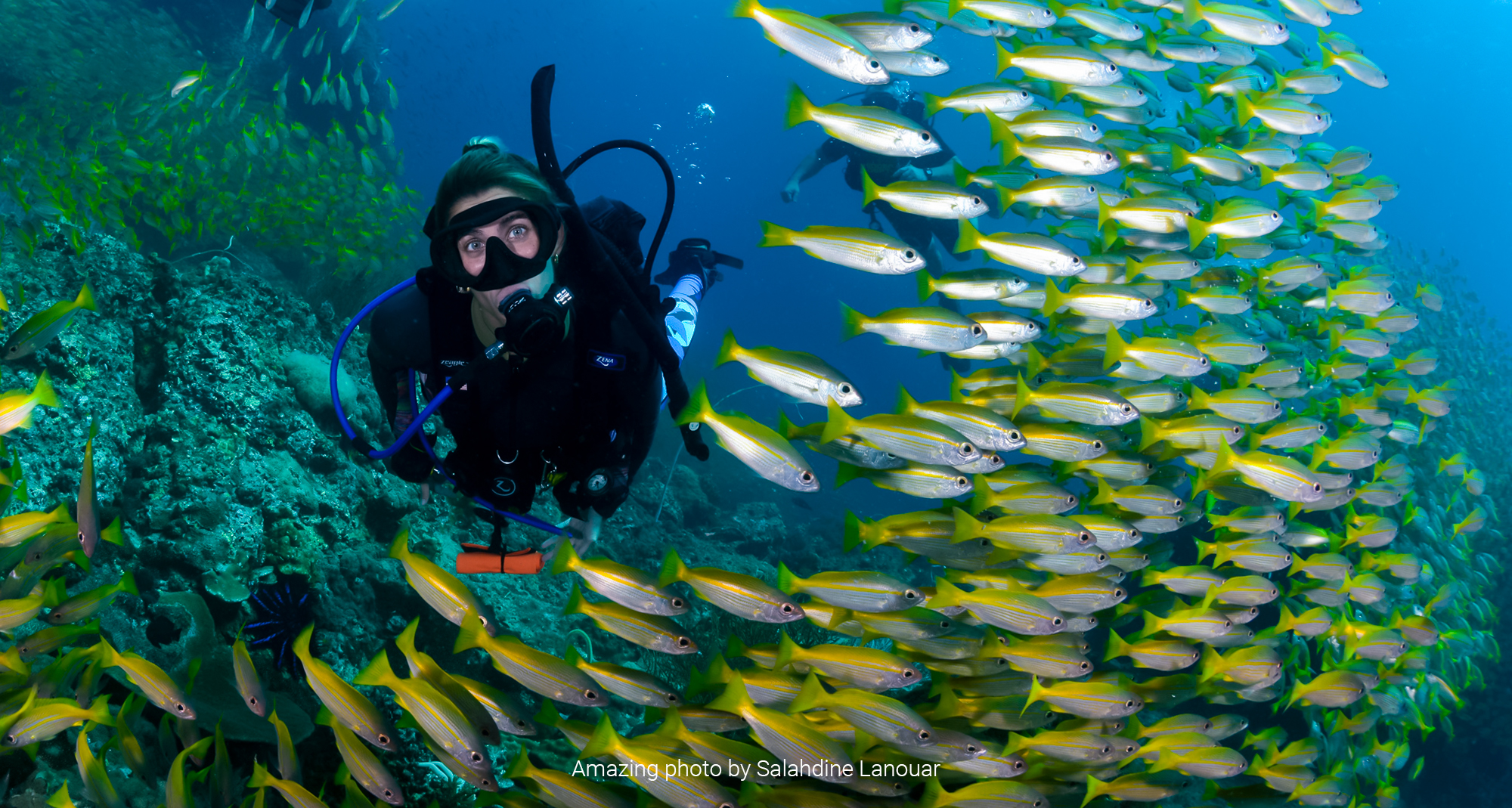 ⭐ Diving Koh Lanta and Phi Phi Best dive sites and dive center