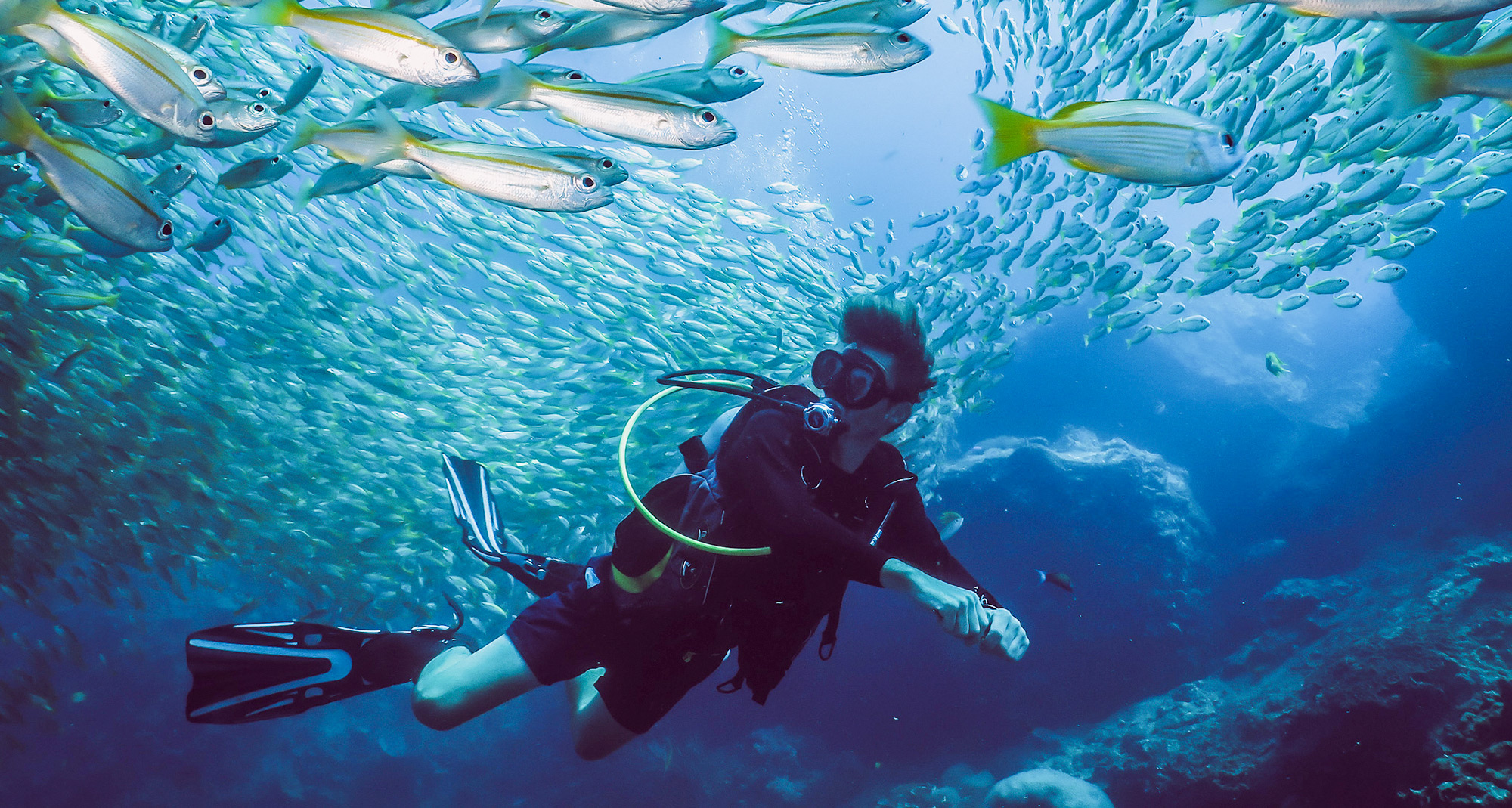 Koh Phi Phi Diving Koh Lanta Thailand Best dive center